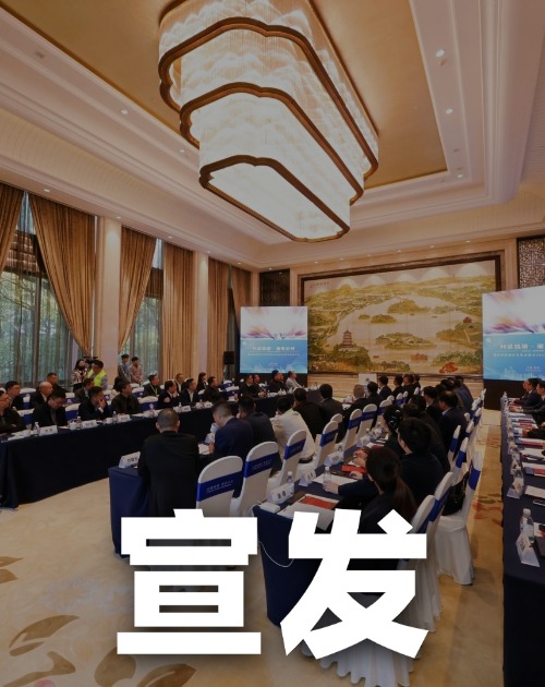 全平台矩阵宣发